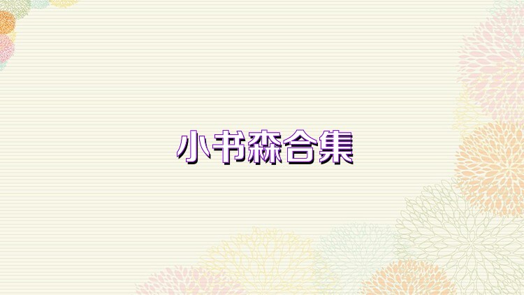 小书森合集