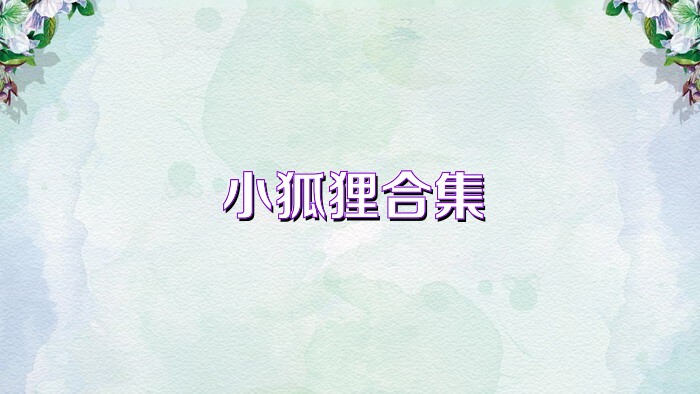 小狐狸合集